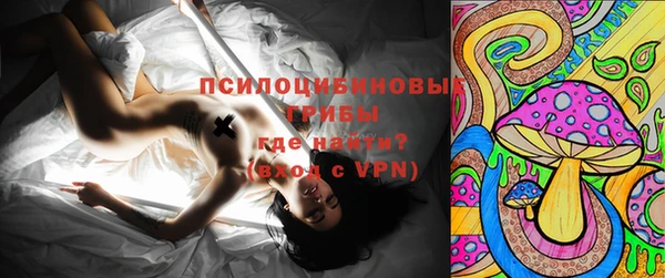 эйфоретик Алексеевка