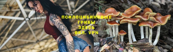 эйфоретик Алексеевка