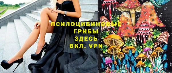 эйфоретик Алексеевка