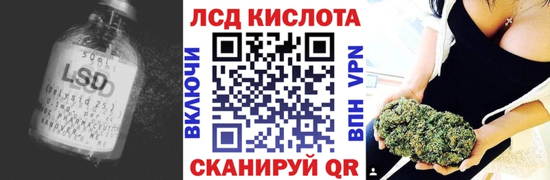 что такое   Апатиты  KRAKEN зеркало  Лсд 25 экстази кислота 