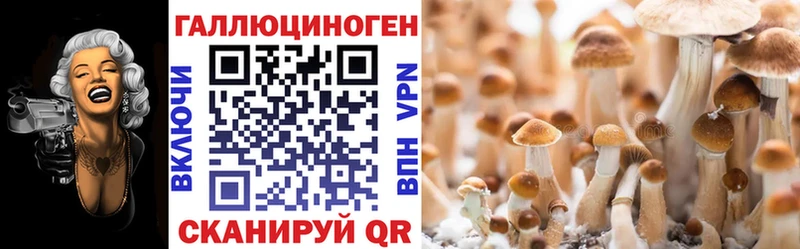 Псилоцибиновые грибы мухоморы  площадка формула  Апатиты  OMG ТОР 