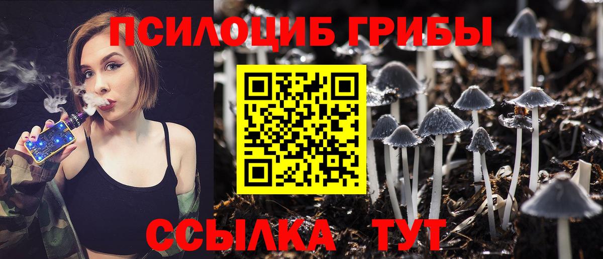 Галлюциногенные грибы мухоморы Апатиты